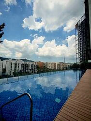 The Hillier (D23), Apartment #542351241